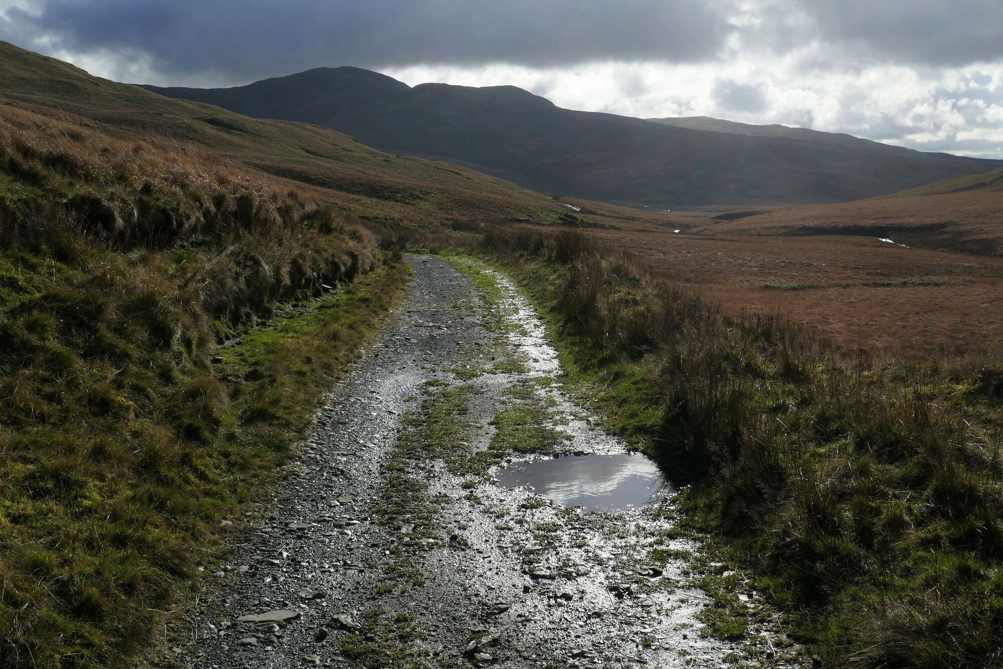RachelSeabrook.net | Wild Walking | Cwm Hengwm | pic31